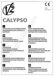 V2 CALYPSO 600 Instructions D'installation