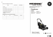 WEIBANG WB537SCV-3IN 1 Mode D'emploi