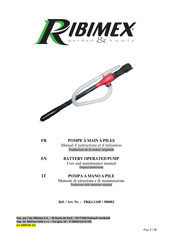 Ribimex Ribitech PRKG110P Manuel D'instructions Et D'utilisation