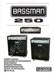Fender BASSMAN 250 Mode D'emploi
