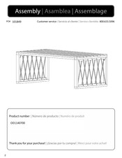 Southern Enterprises OD1140700 Instructions D'assemblage