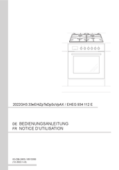 Amica 2022GH3.33eEHiZpTsDpScVpAX Notice D'utilisation