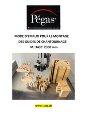 PEGAS MJ 343C Mode D'emploi