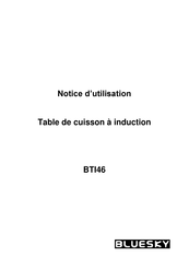 Bluesky BTI46 Notice D'utilisation