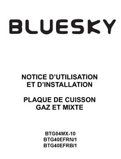 Bluesky BTG04MX-10 Notice D'utilisation Et D'installation