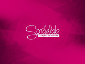 SORDALAB PS-3216 Mode D'emploi