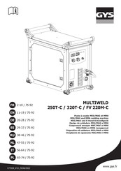 ims PRO MULTIWELD 250T-C Manuel D'utilisation