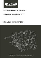 Hyundai power products HG5500-PL-A1 Manuel D'instructions