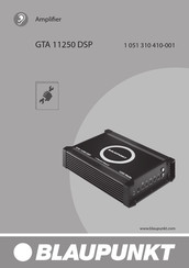 Blaupunkt GTA 11250 DSP Montage