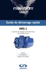 Gecko VMS-1 Guide De Démarrage Rapide