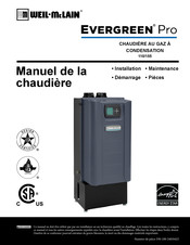 Weil-McLain Evergreen Pro 110 Manuel