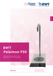 BWT Palaimon P30 Manuel D'utilisation