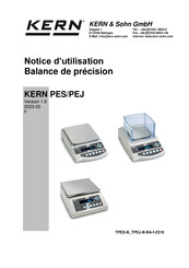KERN PES 6200-2M Notice D'utilisation