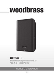 woodbrass DXPRO15 Notice D'utilisation