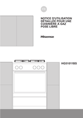Hisense HG51011BS Notice D'utilisation