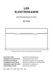 Richen EF197A Instructions D'utilisation