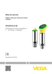 Vega VEGAPULS 42 Mise En Service