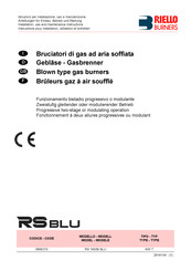 Riello Burners 843 T Instructions Pour Installation, Utilisation Et Entretien