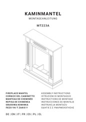 Richen MT223A Instructions De Montage