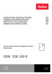 Amica GSN 328 100 E Notice D'utilisation