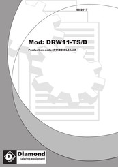 Diamond DRW11-TS/D Notice Pour L'installation, L'utilisation Et L'entretien