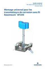 Emerson Rosemount Permasense WT210 Guide Condensé