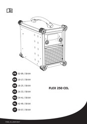 GYS FLEX 250 CEL Mode D'emploi