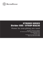 SilverStone Strider 650 Mode D'emploi