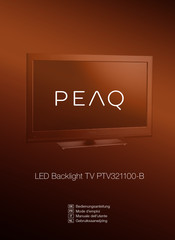 Peaq PTV321100-B Mode D'emploi