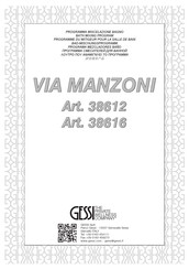 Gessi VIA MANZONI 38616 Manuel D'installation