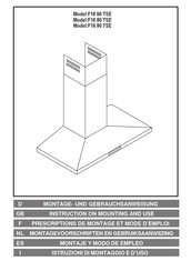 Eico F16 60 TSE Prescriptions De Montage Et Mode D'emploi