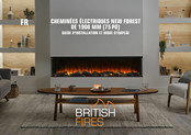 British Fires NEW FOREST Guide D'installation Et Mode D'emploi