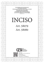 Gessi INCISO 58080 Manuel D'installation