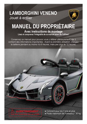 LAMBORGHINI VENENO Manuel Du Propriétaire