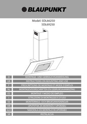 Blaupunkt 5DL66250 Prescriptions De Montage Et Mode D'emploi