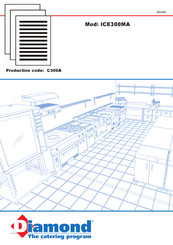 Diamond ICE300MA Manuel D'installation, Utilisation Et Entretien