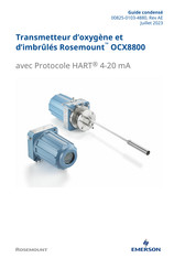 Emerson Rosemount OCX8800 Guide Condensé