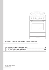 Amica 6022CE3.334eEHiTbPrDHb Notice D'utilisation