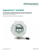 Panametrics DigitalFlow XGF868i Manuel De Maintenance