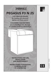 Ferroli PEGASUS F3 N 2S Instructions D'utilisation, D'installation Et D'entretien