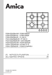 Amica GA6100BpMR Notice D'utilisation