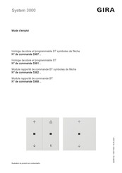 Gira System 3000 5382 Serie Mode D'emploi