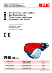 Riello RS BLU Série Instructions Pour Installation, Utilisation Et Entretien