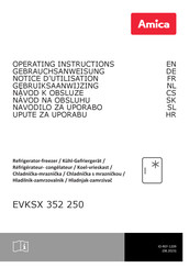 Amica EGSX 321 250 Notice D'utilisation