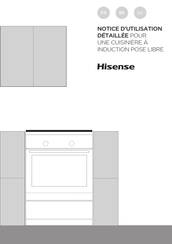 Hisense HI65022BW Notice D'utilisation Detaillee