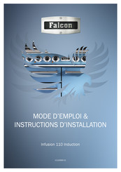 Falcon INF110EISB Mode D'emploi & Instructions D'installation