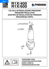 Interpump Group Pratissoli R1X/400 Mode D'emploi