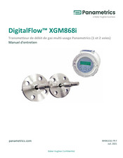 Baker Hughes Panametrics DigitalFlow XGM868i Manuel D'entretien