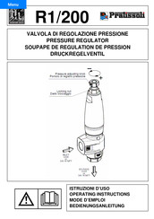 Interpump Group Pratissoli R1/200 Mode D'emploi