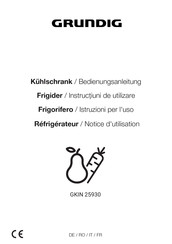 Grundig GKIN 25930 Notice D'utilisation